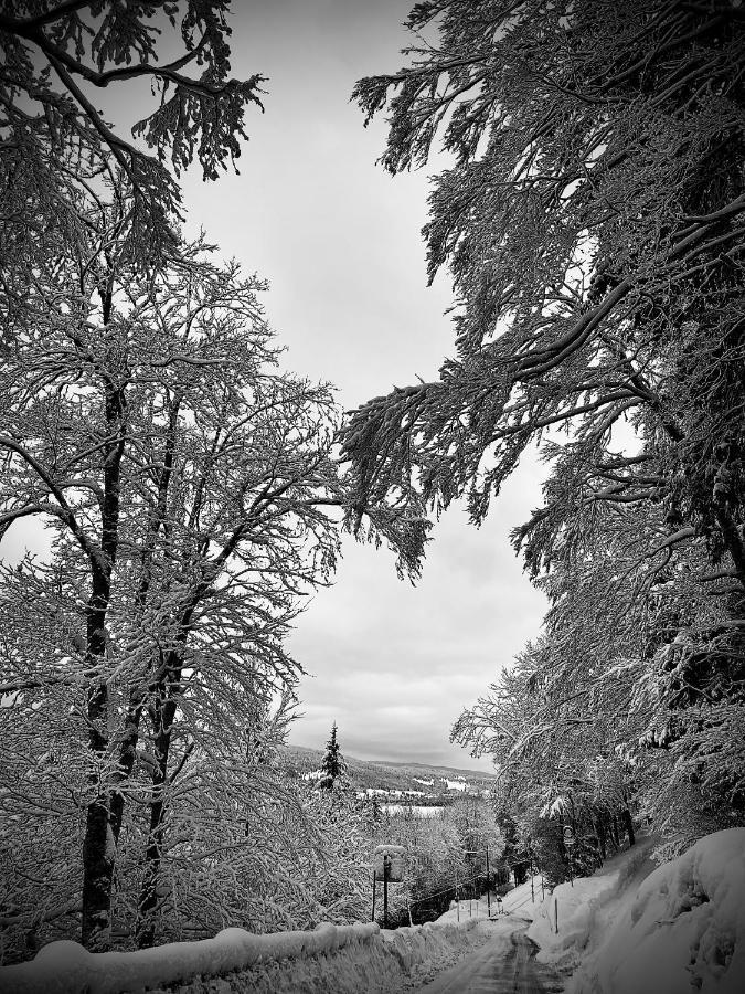 Hotel De Ville Du Sentier Le Sentier Eksteriør bilde
